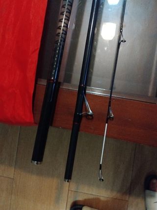 Caña Daiwa Liberty Surf 33