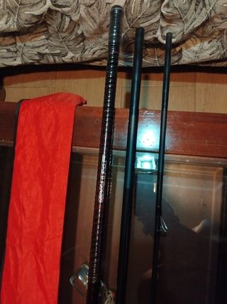 Caña Daiwa Liberty Surf 33