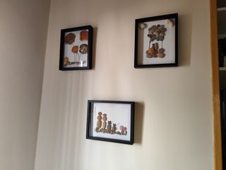 Cuadro Decorativo Piedras y Conchas