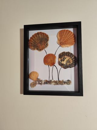 Cuadro Decorativo Piedras y Conchas