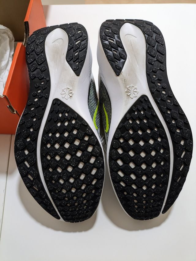 Nike Air Zoom Pegasus