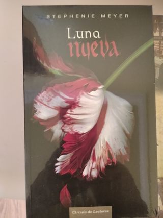 LUNA MUEVA