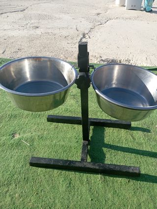 Platos para perros con elevador