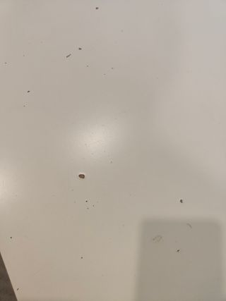 Escritorio evolutivo blanco