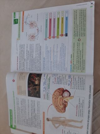 CIENCIAS DE LA NATURALEZA 6 (COMUNIDAD ZOOM)