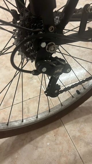 Bicicleta Holandesa Crown 29 7 marchas