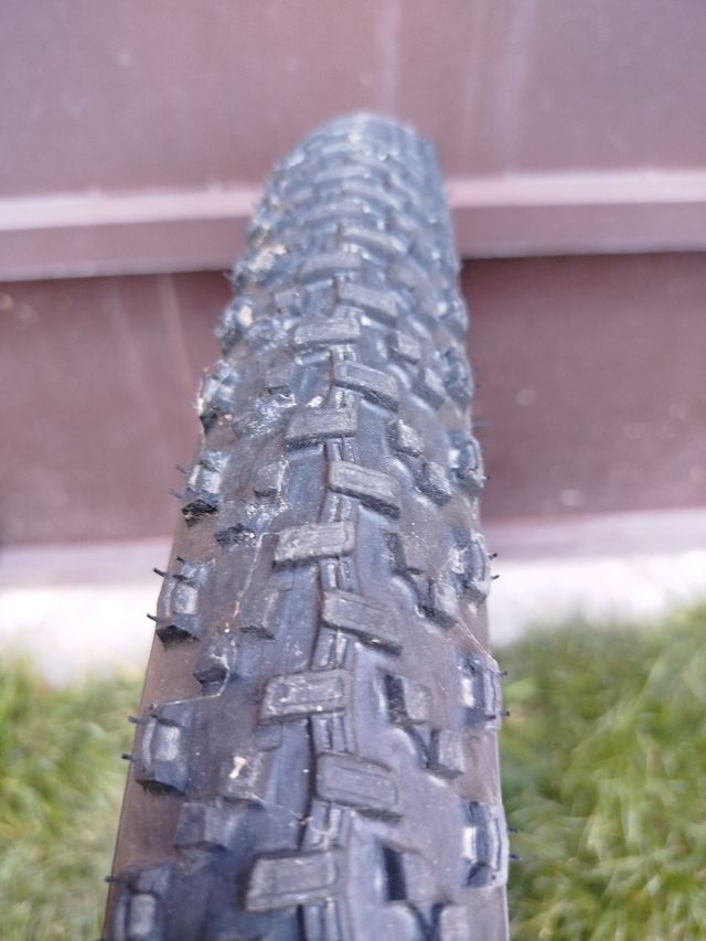 Cubierta Geax Saguaro 29x2.0