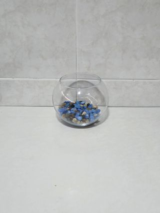Acuario 2L con Piedras