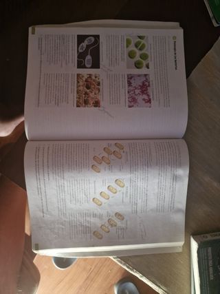 Biología, Geología y Ciencias Ambientales. 1 Ba...