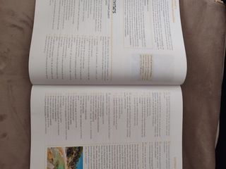 Celestina Vigneaux. Batxillerat. Llengua catalana