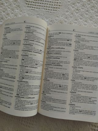 Diccionario S.21 - Primaria. Editorial Galaxia 200