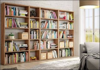 LIBRERIA CON ESTILO NORDICO
