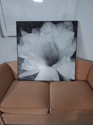 Cuadro de flor en blanco y negro