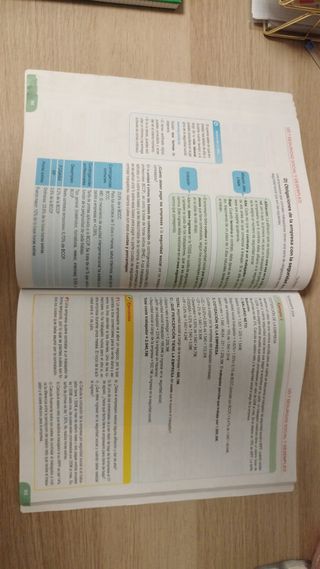 Fol para Ipe I saberes básicos