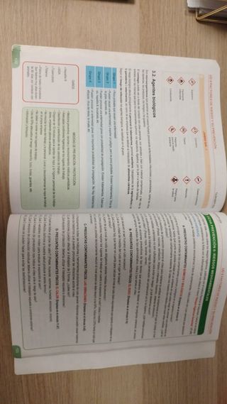 Fol para Ipe I saberes básicos