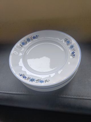 Piatti vintage con fiori blu