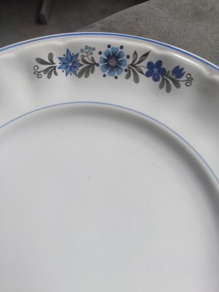 Piatti vintage con fiori blu