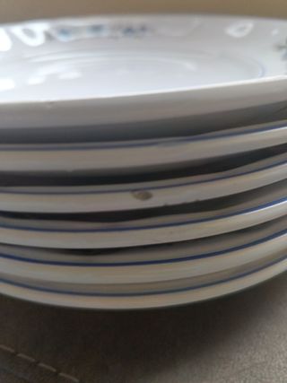 Piatti vintage con fiori blu