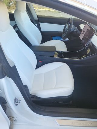 Tesla Standard Ranger Plus 2020