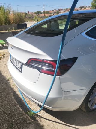 Tesla Standard Ranger Plus 2020