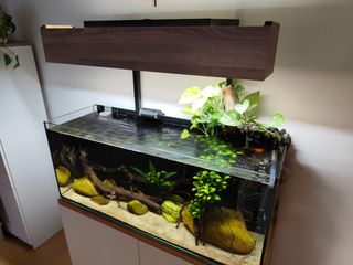 Kit Acuario 240 L