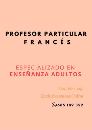 Profesor Francés 