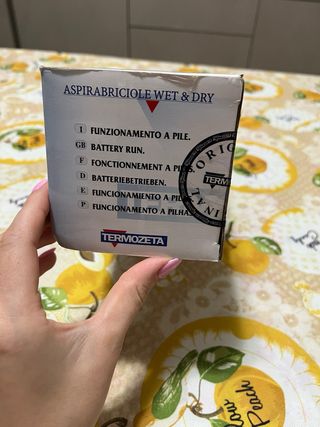 Aspirabriciole Wet & Dry Termozeta