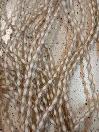 Cortina mosquitera beige