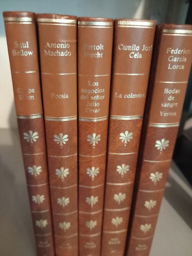 Colección Libros Clásicos Autores Españoles