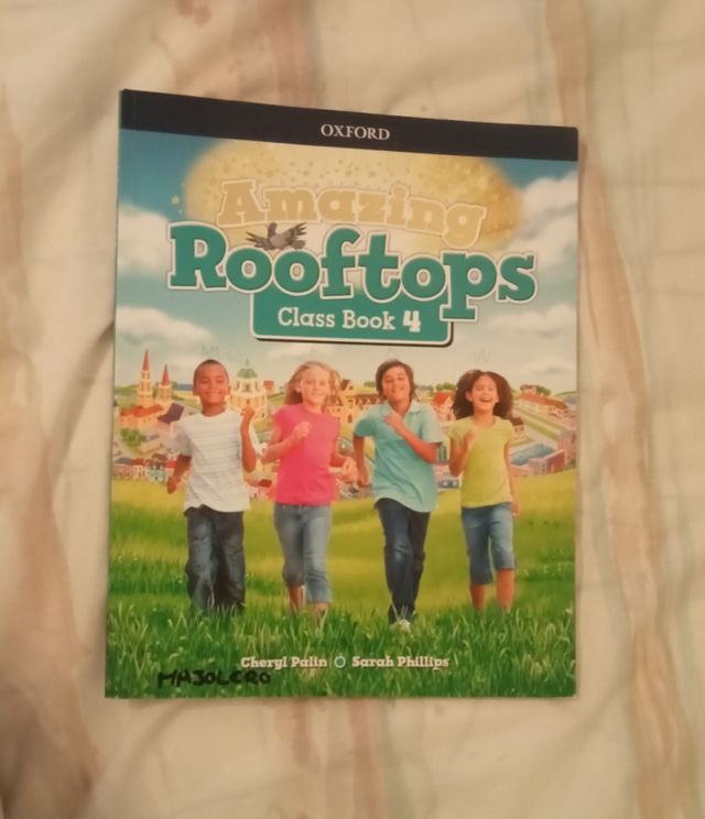 Amazing Rooftops class book 4