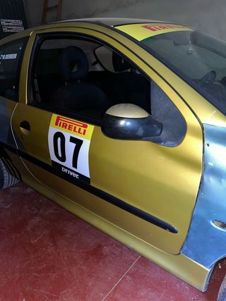 Puerta copiloto Peugeot 206 (PRECIO NEGOCIABLE)