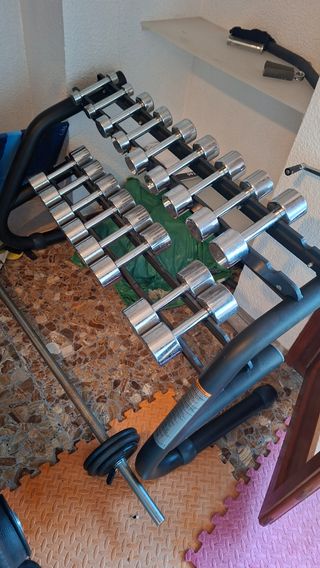 Soporte y Mancuernas Techongym