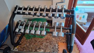Soporte y Mancuernas Techongym