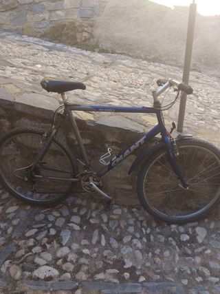 Bicicleta Giant azul y gris