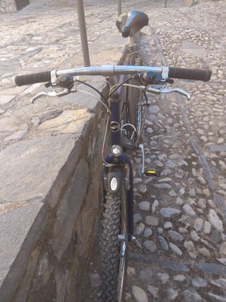 Bicicleta Giant azul y gris