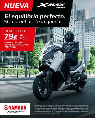 XMAX 300