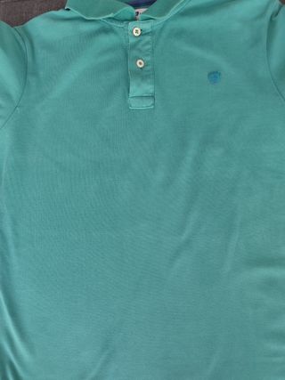 Polo Álvaro Moreno Verde Azulado