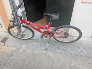Bicicleta de montaña adulto