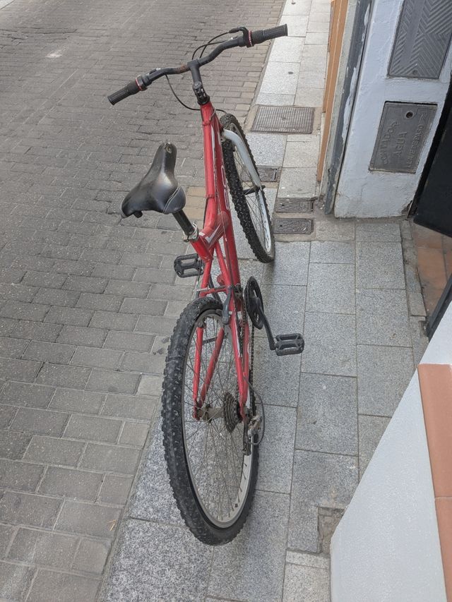Bicicleta de montaña adulto