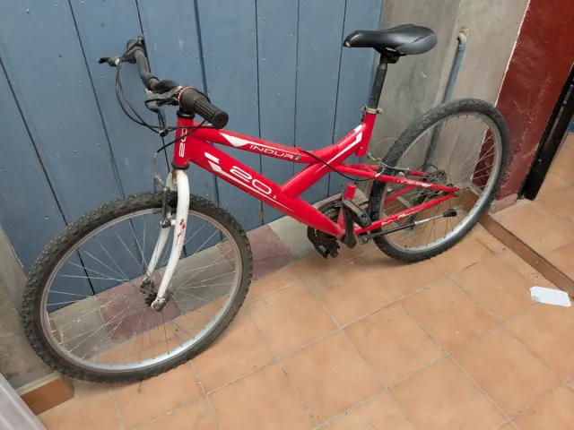 Bicicleta de montaña adulto