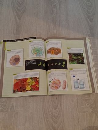 Biología. 2 Bachillerato. Savia