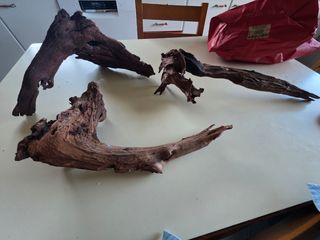 Troncos para acuario