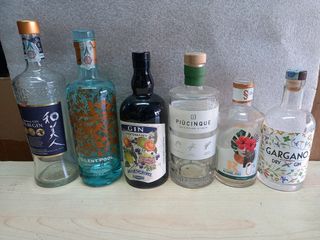 Bottiglie vuote gin Bareksten e BICKENS