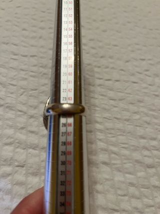 Anillo Piedra Luna Grande Ajustable