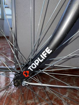 Bicicleta Eléctrica