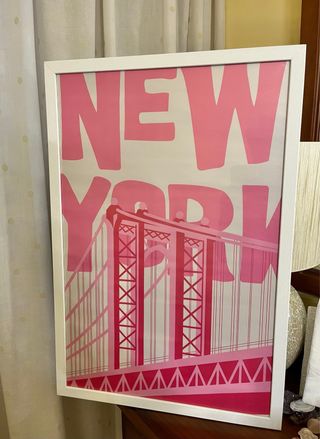 Cuadro New York Puente Rosa