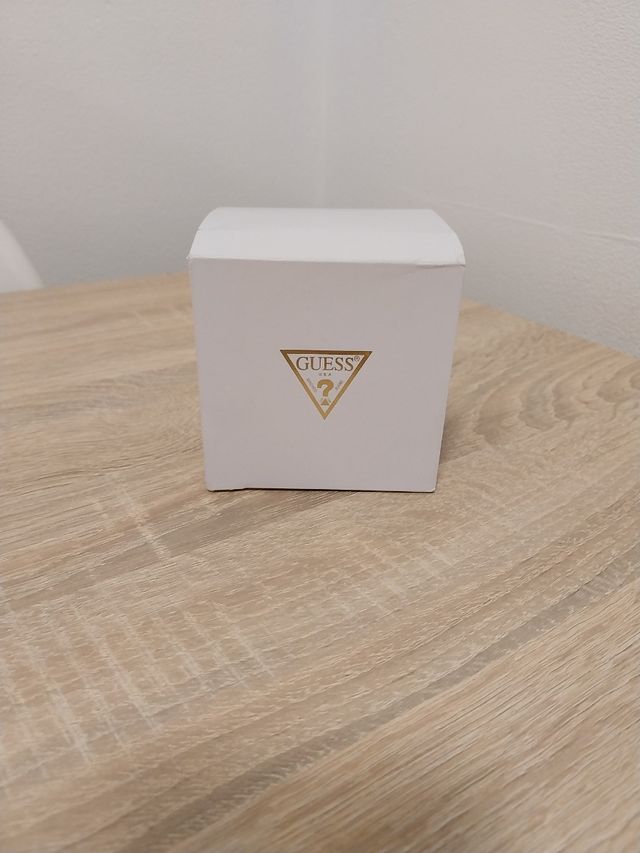 Reloj Guess Marrón y Plateado para Hombres