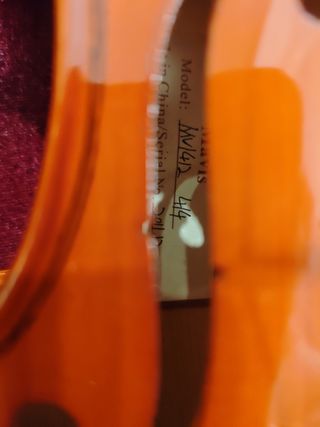 Violín 4/4 con estuche y arco