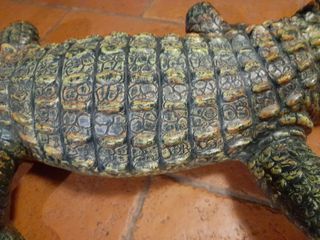 Coccodrillo gigante 1,15 mt