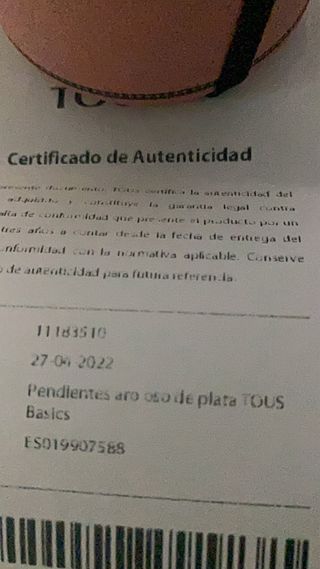 Aros de plata con ositos